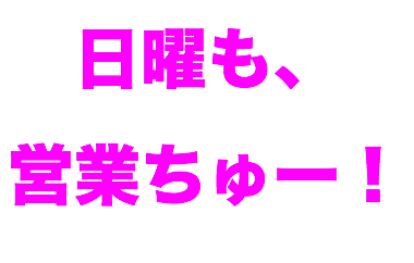 日曜も、 営業ちゅー！